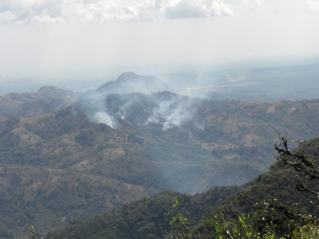 Misty mountains of Boquete, Panama