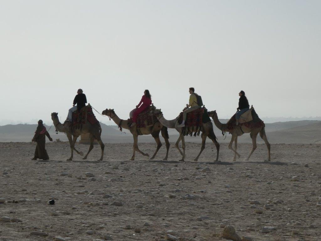 Camel riding on the Giza Plateau