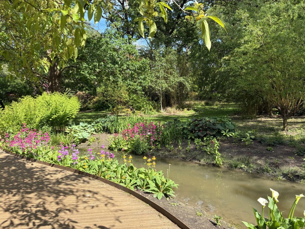 Isabella Plantation, Richmond Park, London