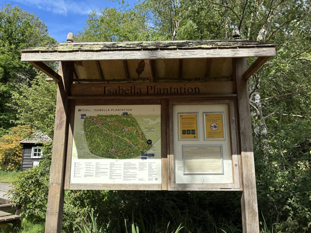Isabella Plantation, Richmond Park, London