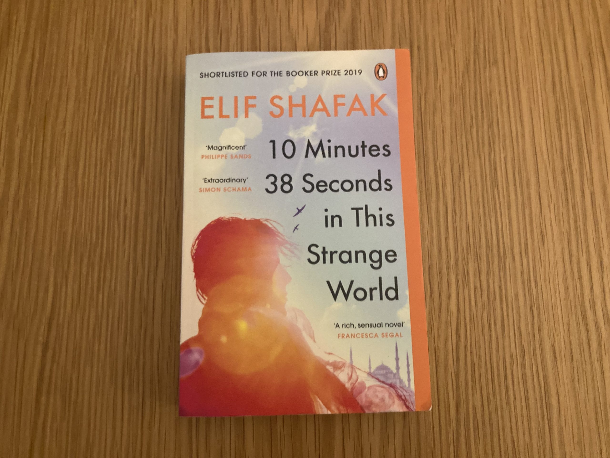 10 Minutes 38 Seconds in This Strange World, Elif Shafak
